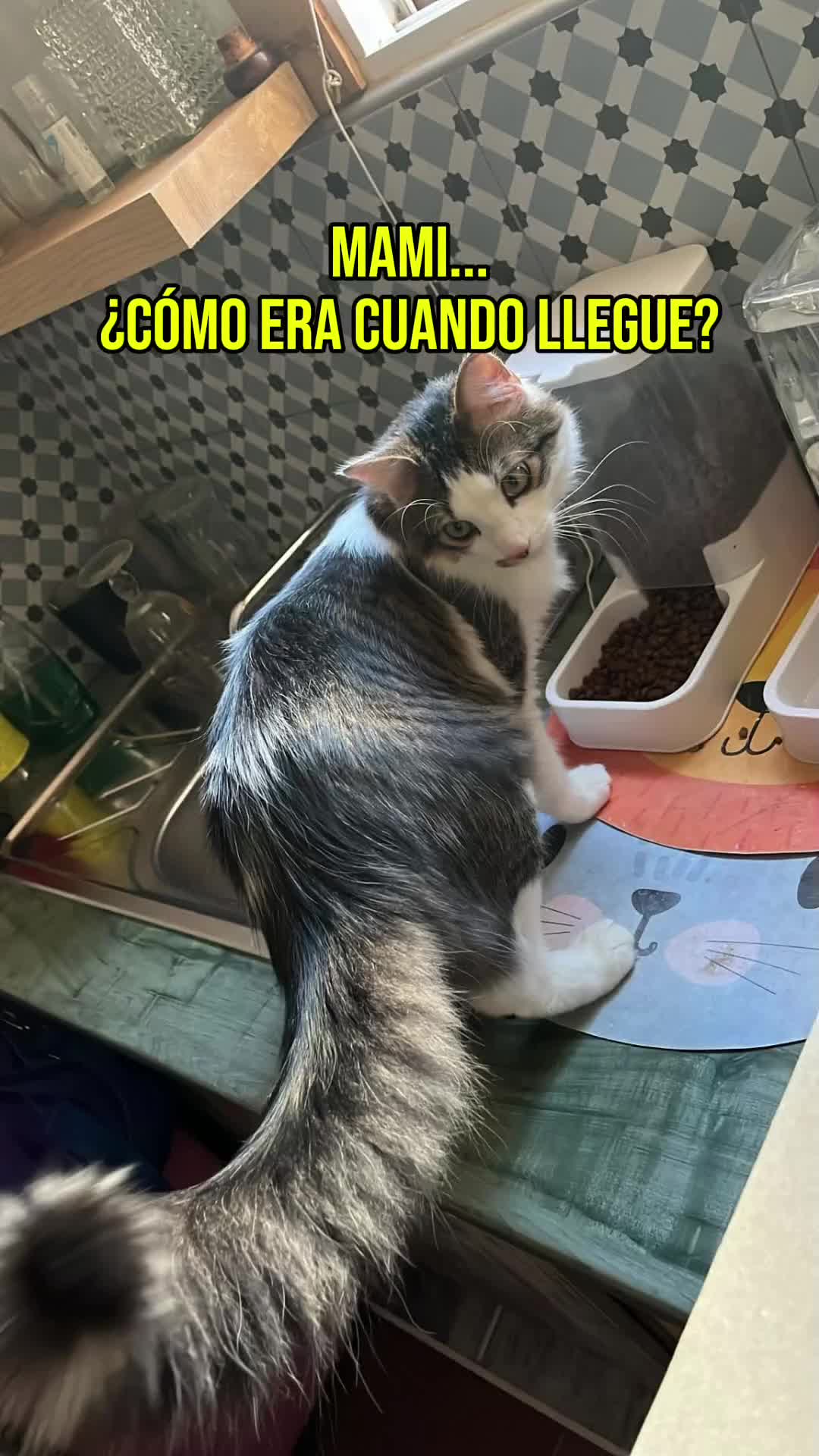 @Tara Alcantara Pascu