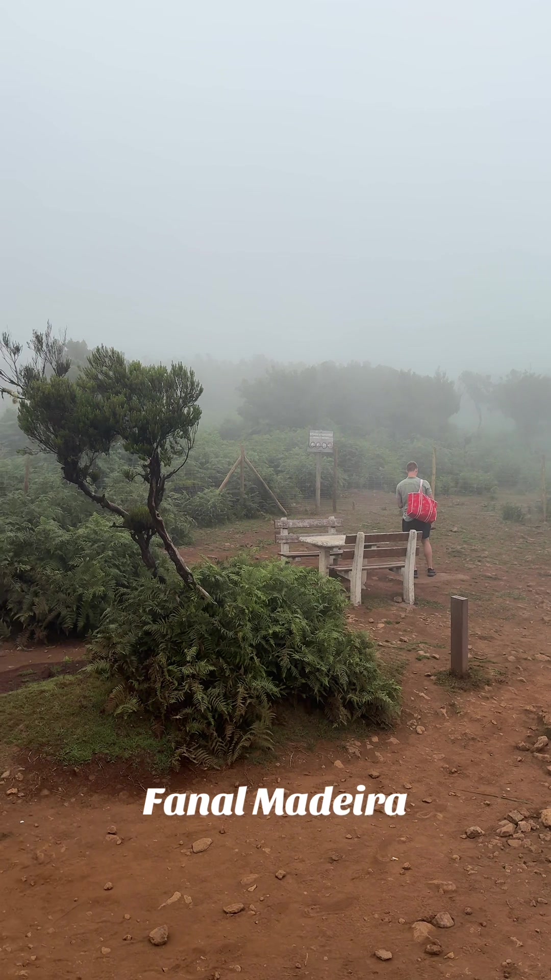 @ImpactAzul Madeira Island Tour
