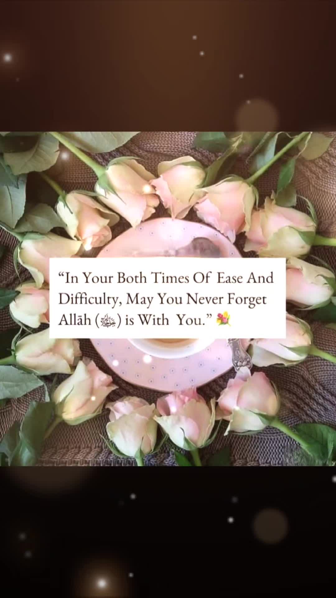 @BinaBibi
