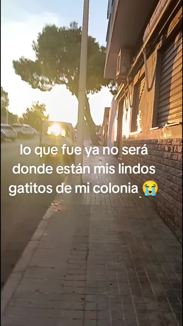 @Vero Jimenez Ferrer
