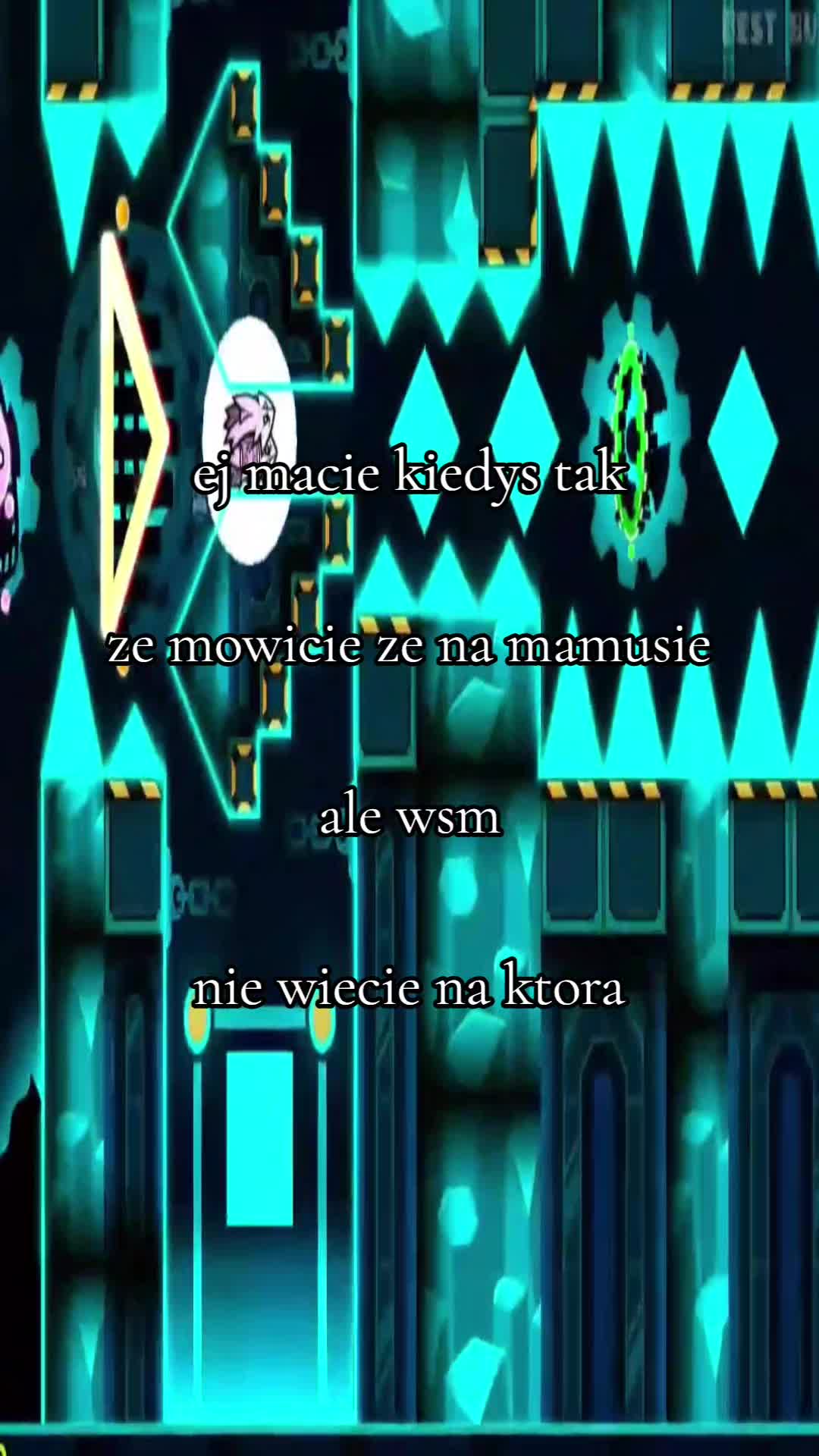 @kuzi