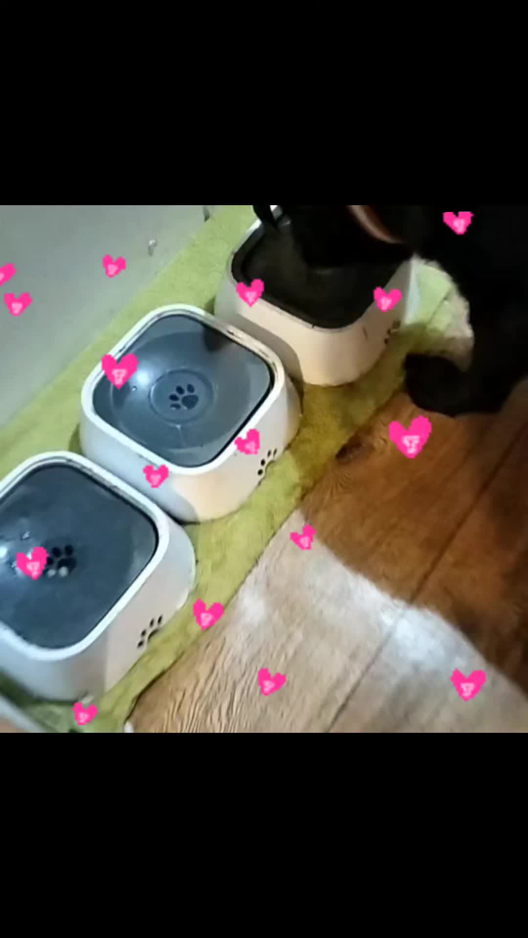 @OstojaUBabyJagi_AgaNowak