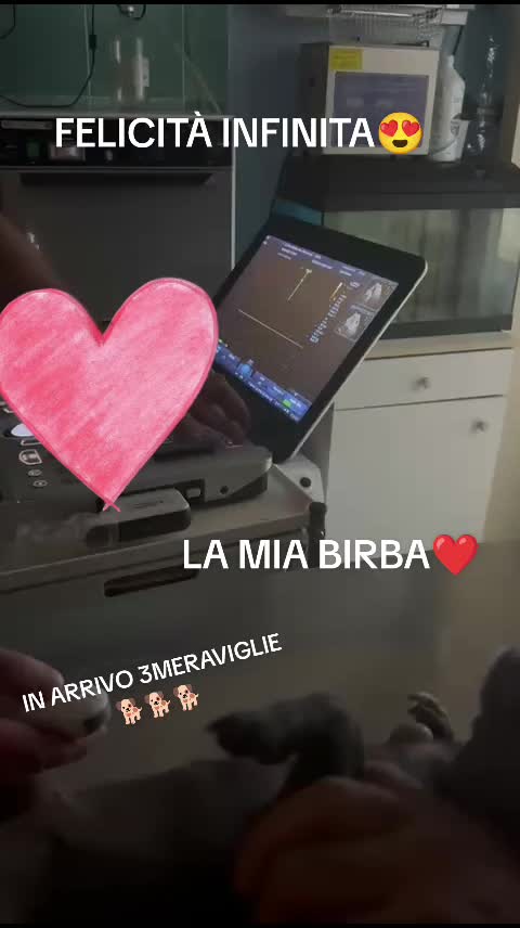 @Marika Greco