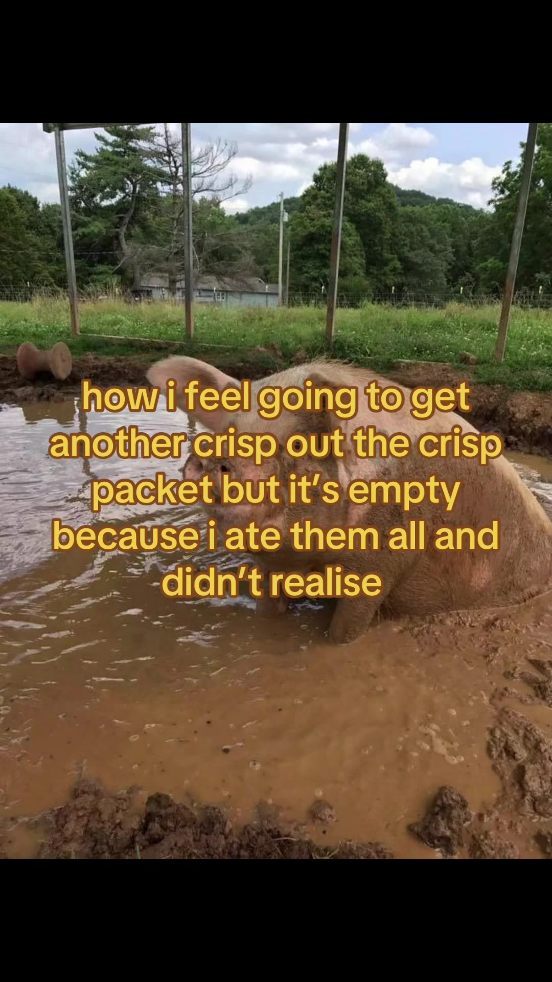 @elliemay.