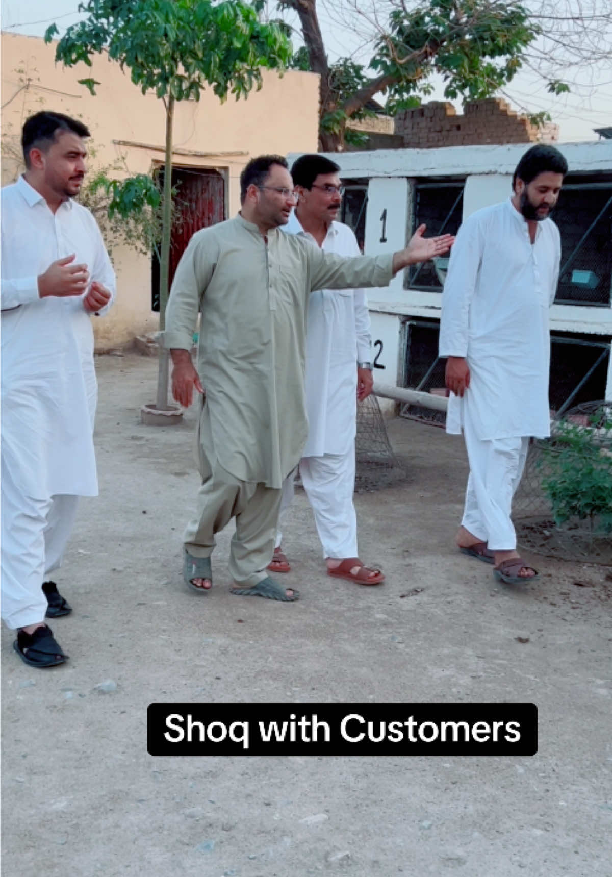 @PK Smart Aseel Birds Factory