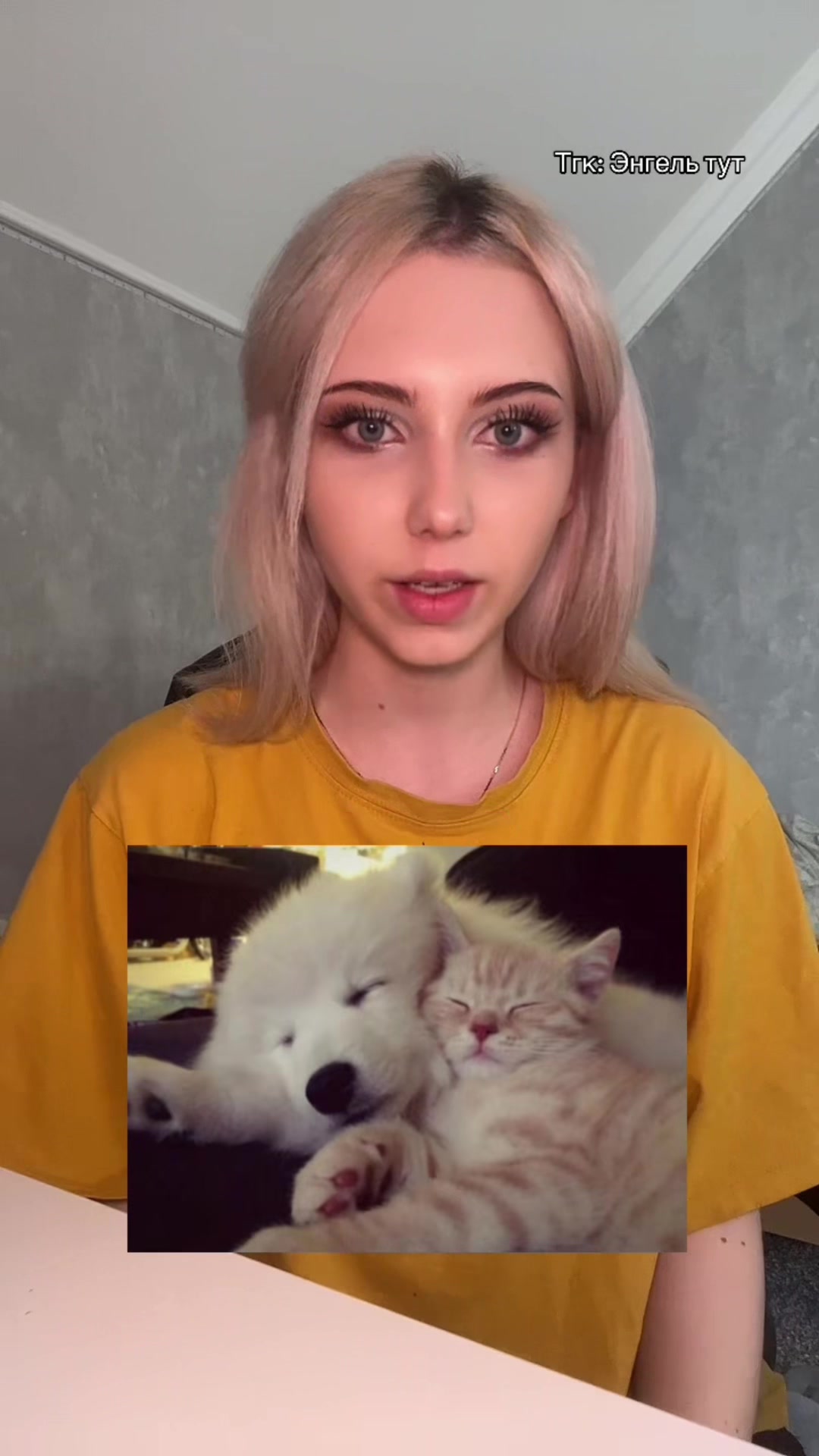 @Тгк:Энгель тут