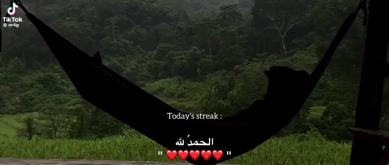 @Adel Mansouri