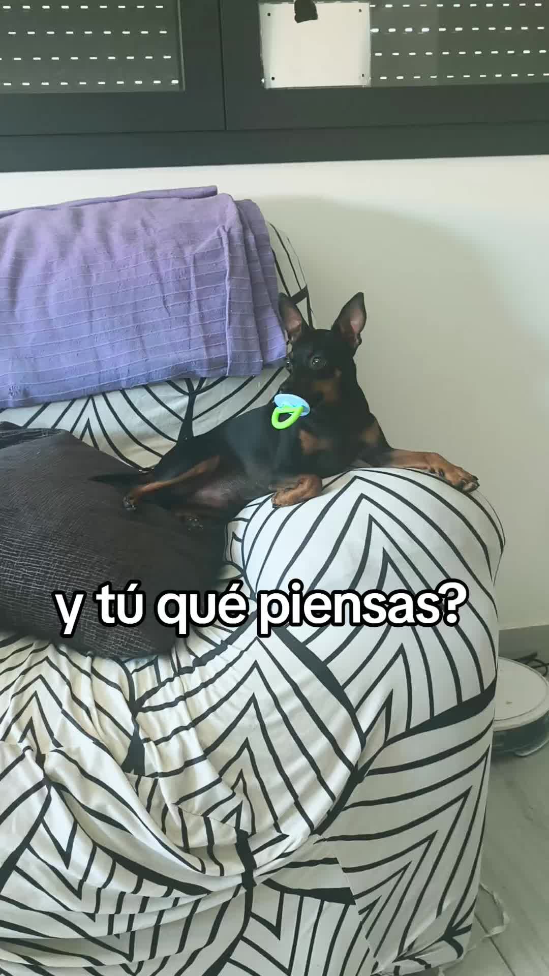 @Cuca