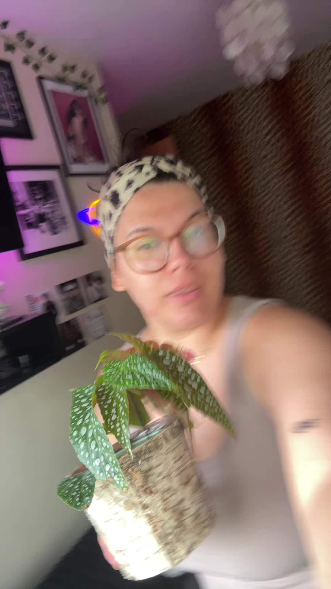 @babysoso
