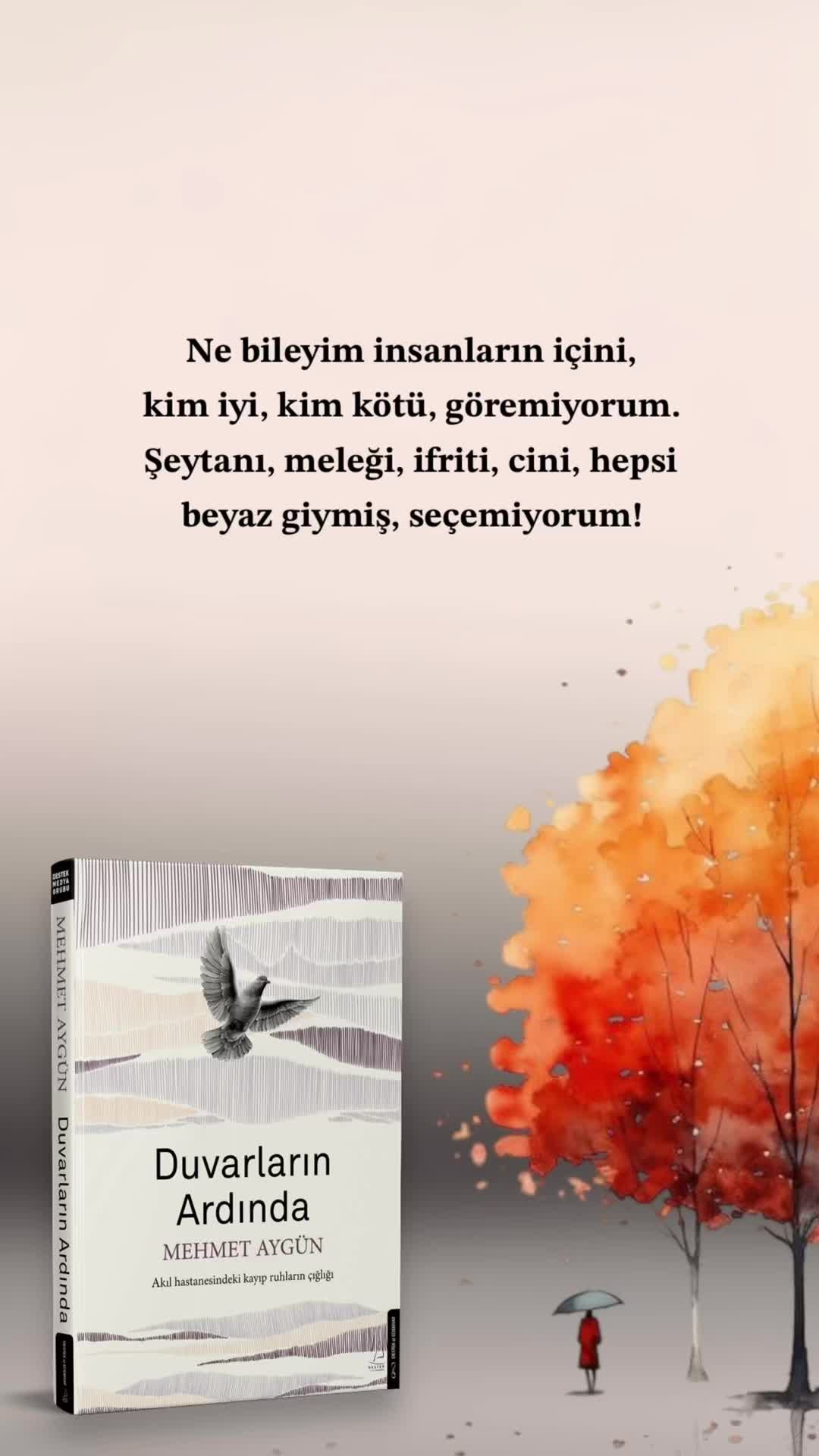 @Mehmet Aygün