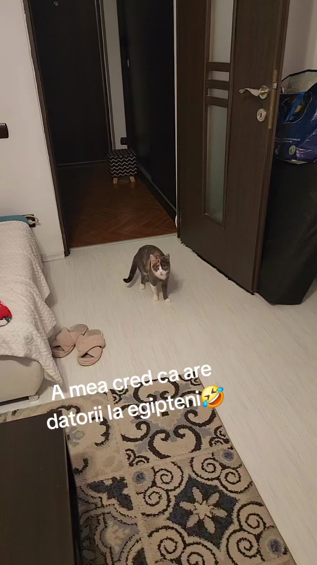 @Svetik_Svetlana86🤍