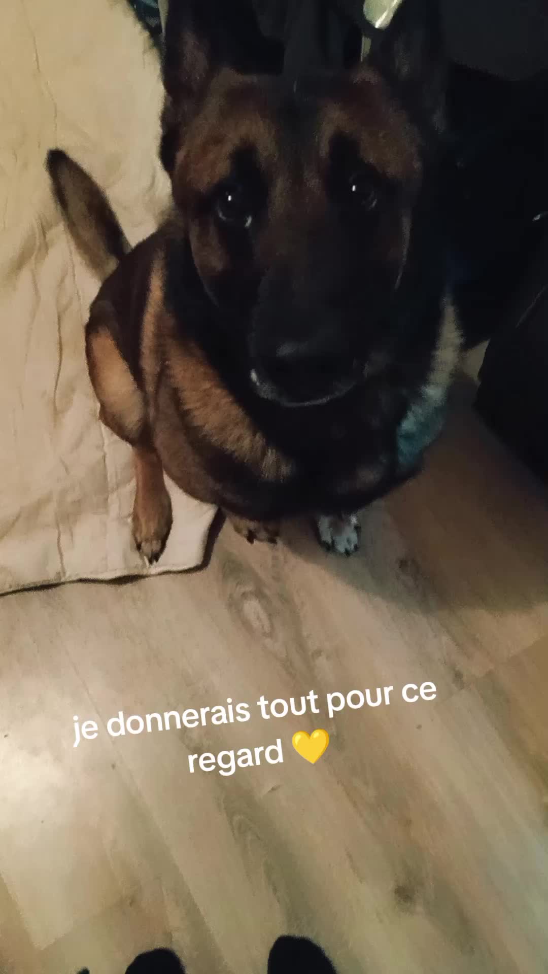 @Lucylle🦋