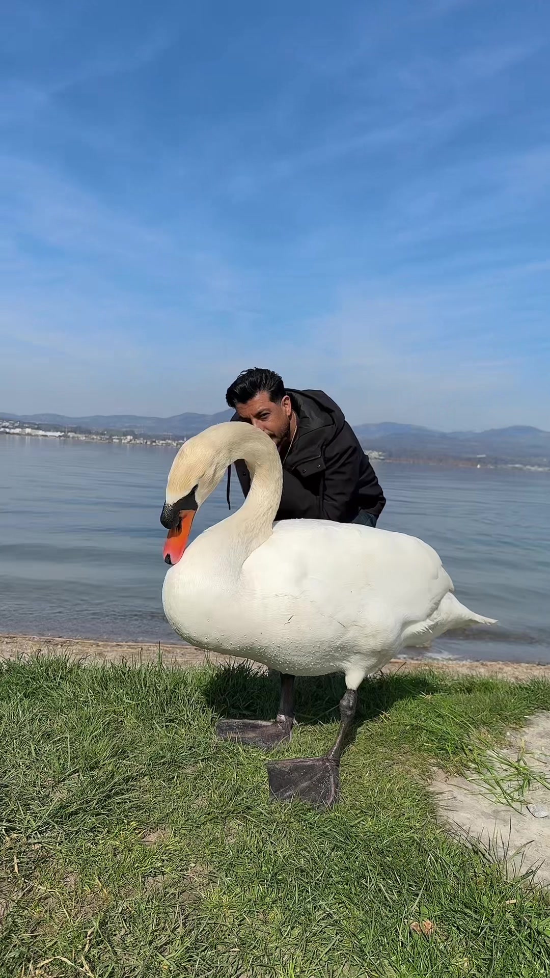 @fatih tasoglu