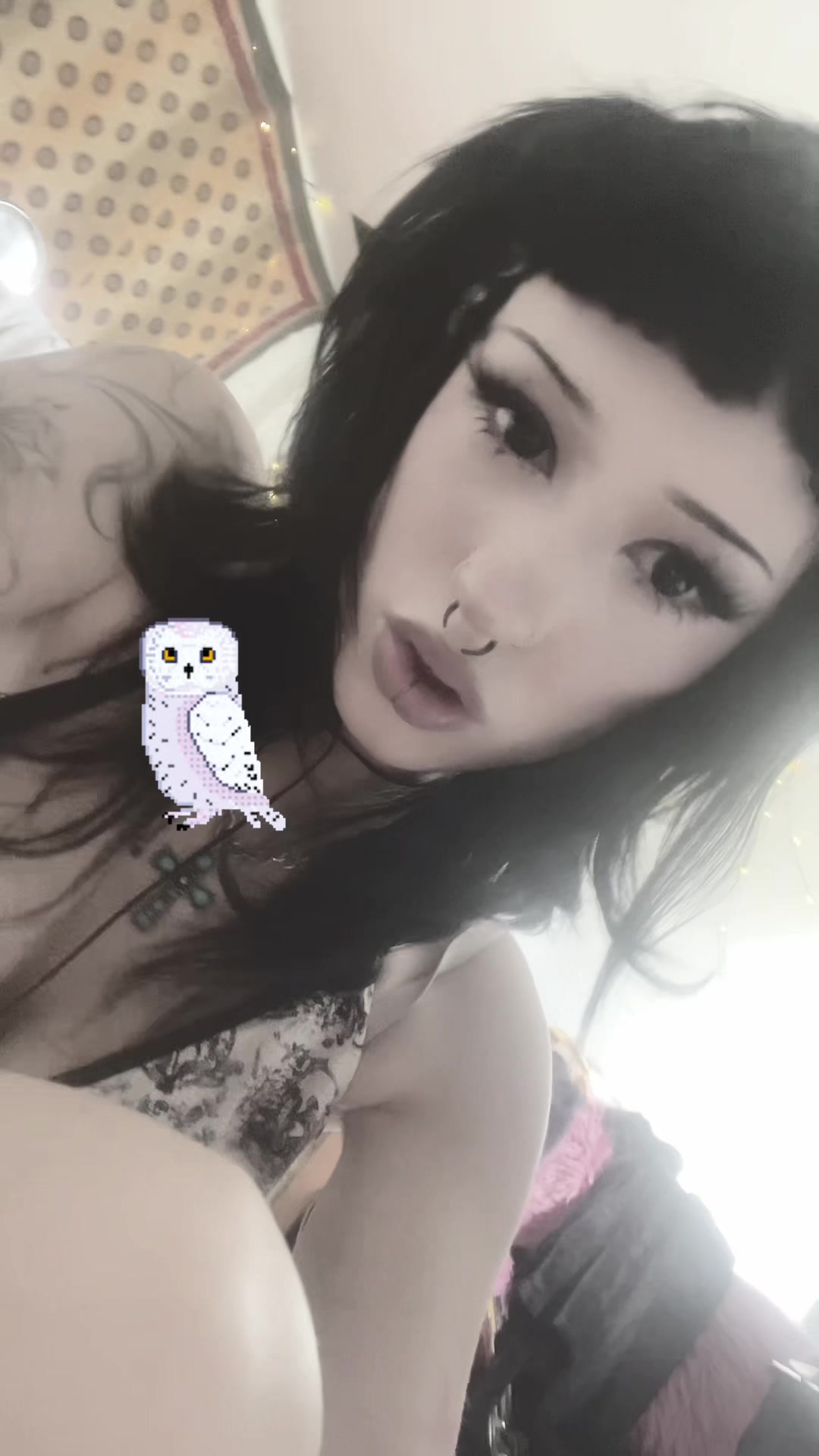 @ilovetealgreen