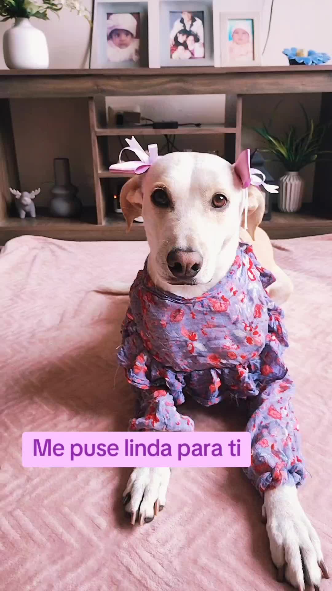 @winnie ❤🦮