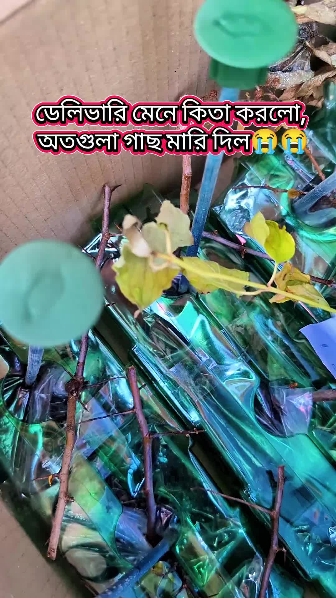 @Amar bhubon