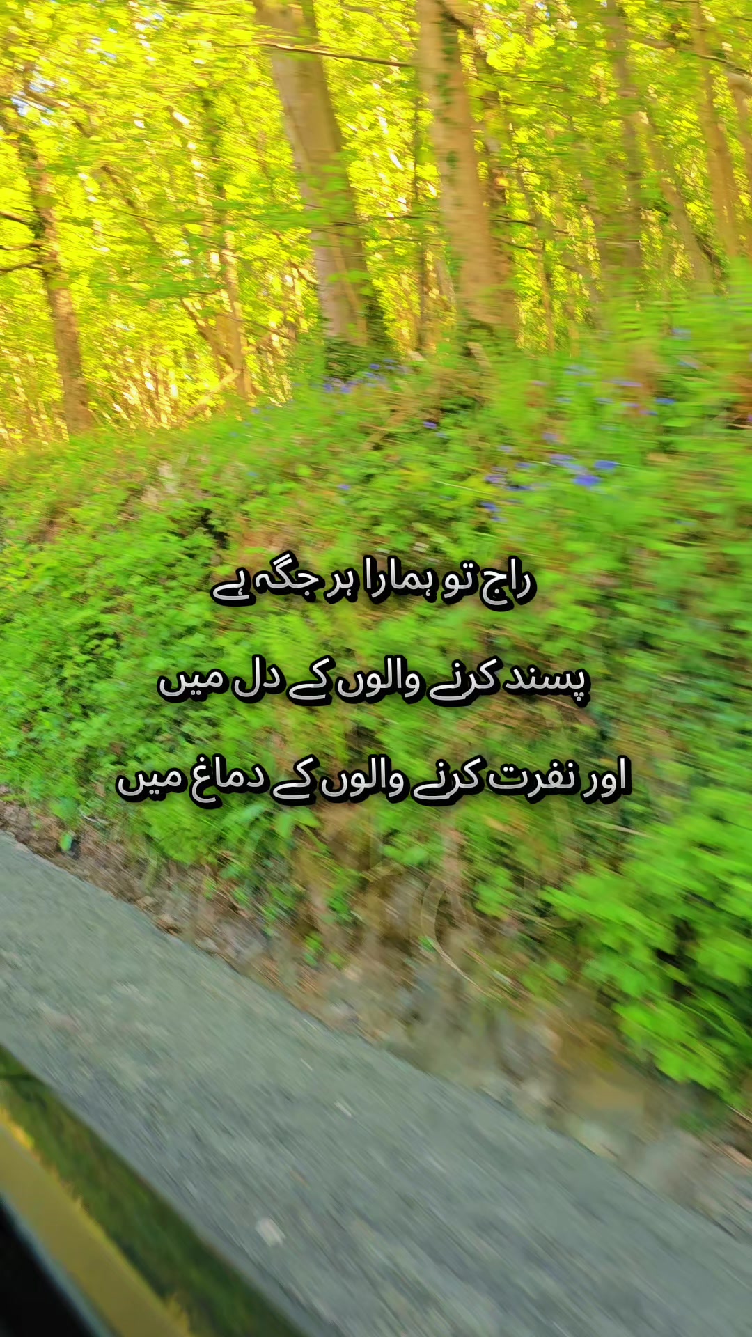 @BUSHRA KHAN