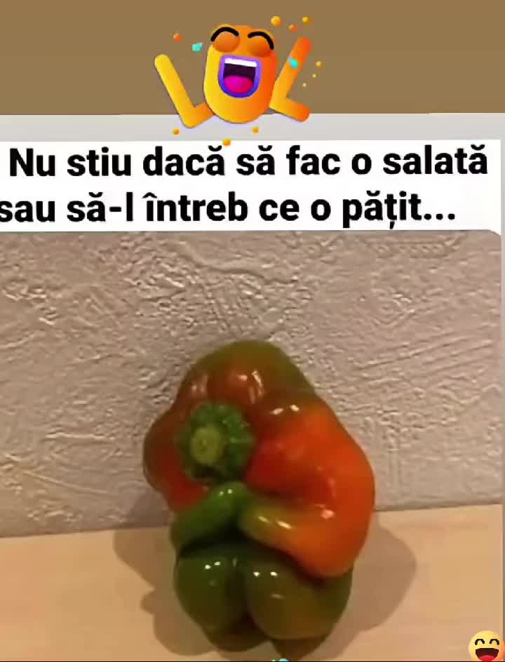 @Elena Cotia