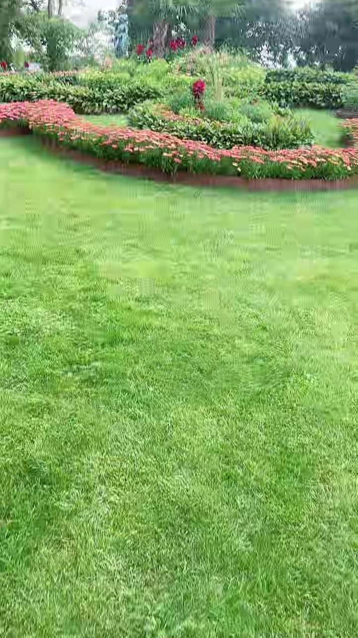 @Radha Koirala