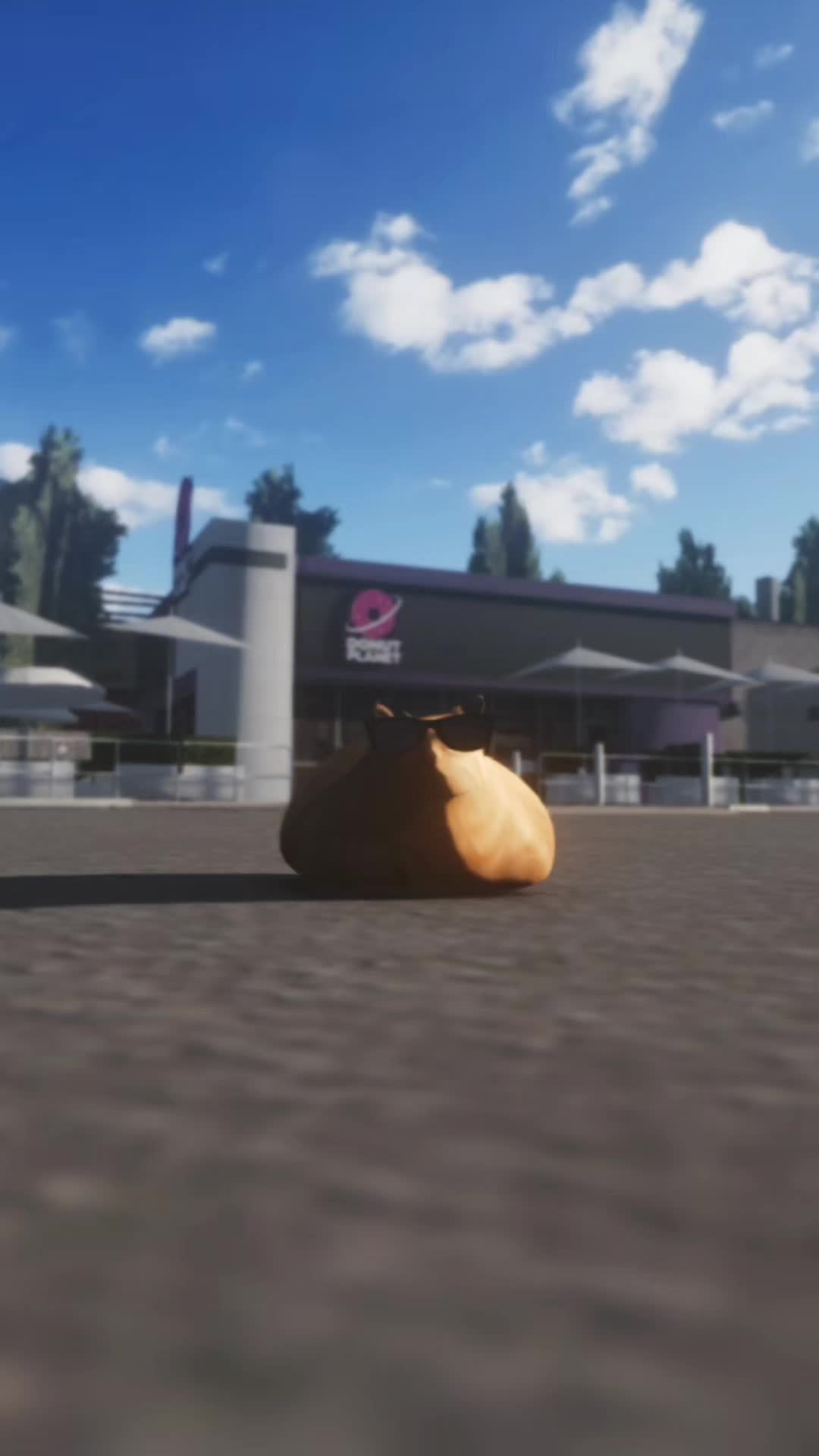 @Pablo the Race Cat