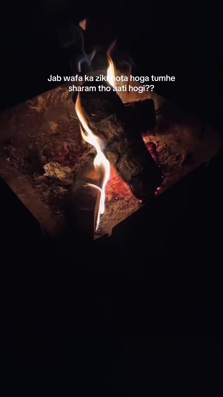 @𝙃𝘼𝙄𝘿𝙀𝙍 🐻❄️