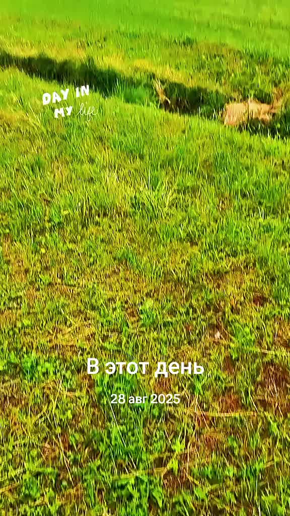 @Ирина Вовере