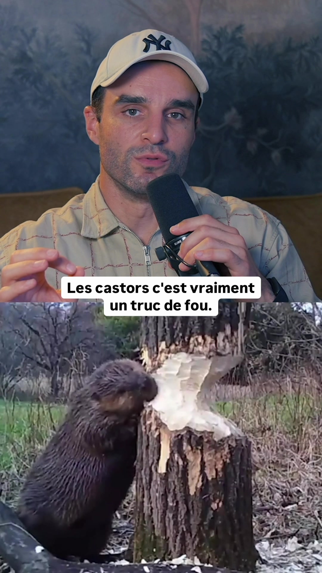 @Nozman