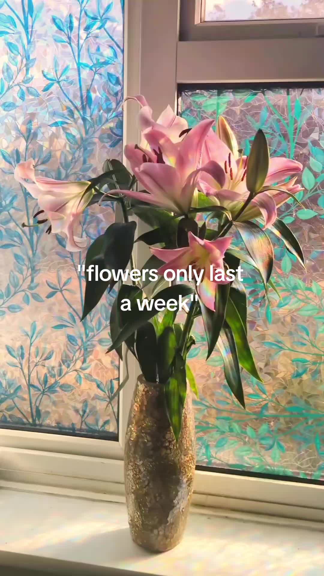 @jess🪷