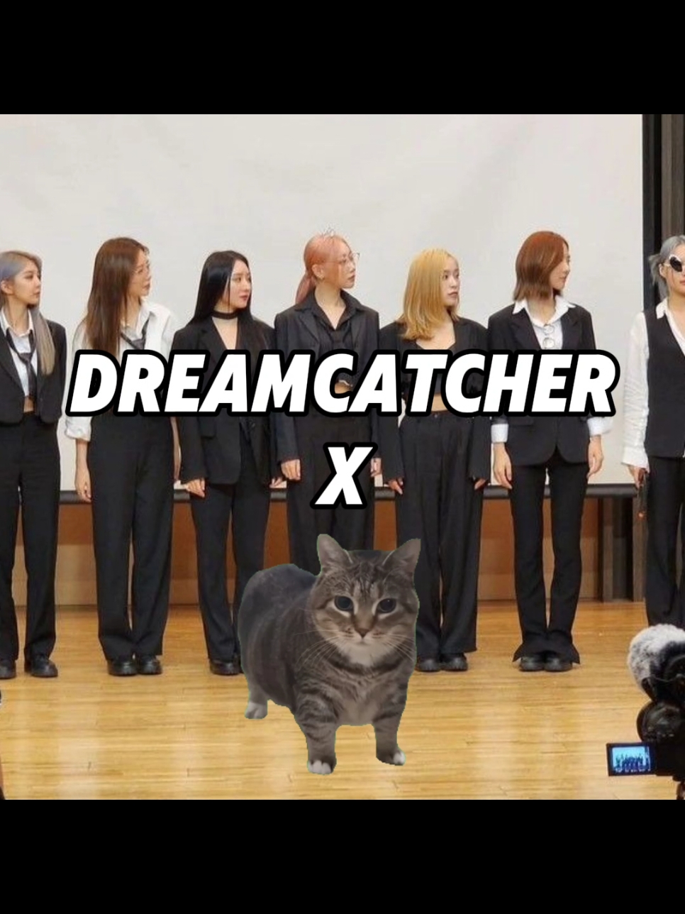 @celine 🐈&zwj;⬛