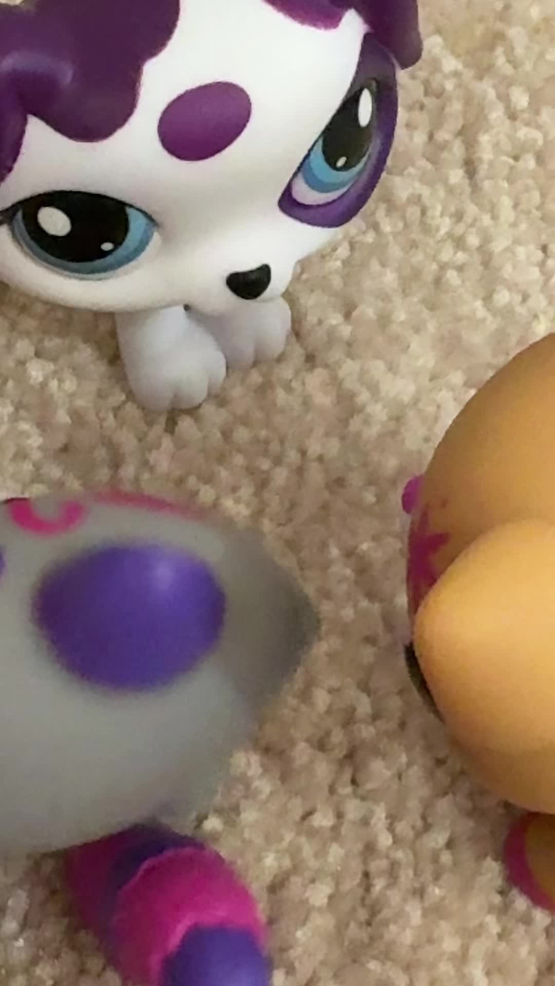 @โ๐โ๐๐ณโโ๐ต๐๐ด๐ชฝ๐ผ๐ชฝ