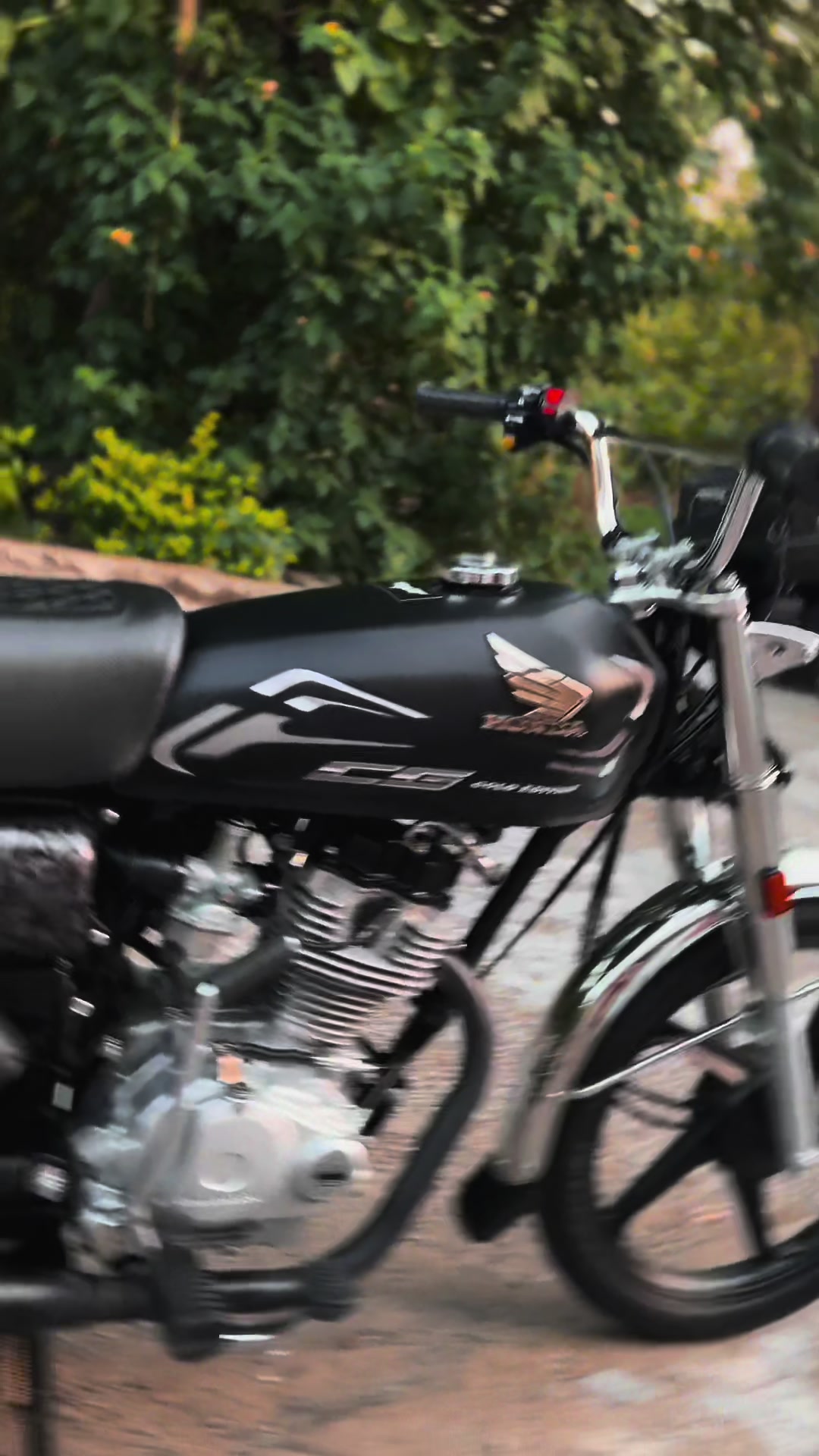 @SHAZU 🏴☠️