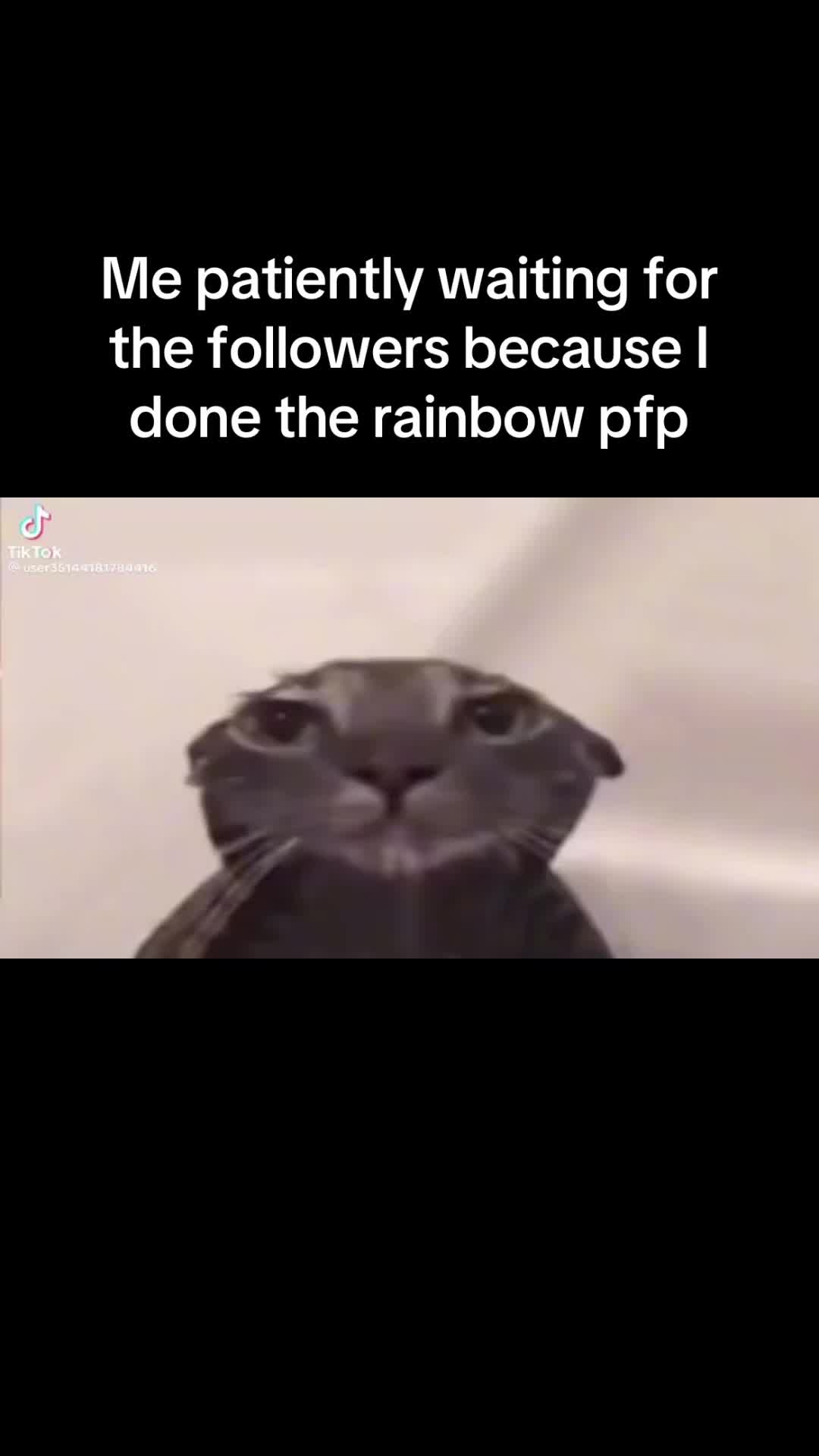 @🚔🌴🎐🎀𝐱𝐇𝐎𝐋𝐋𝐘𝐱🎀🎐🌴🚔