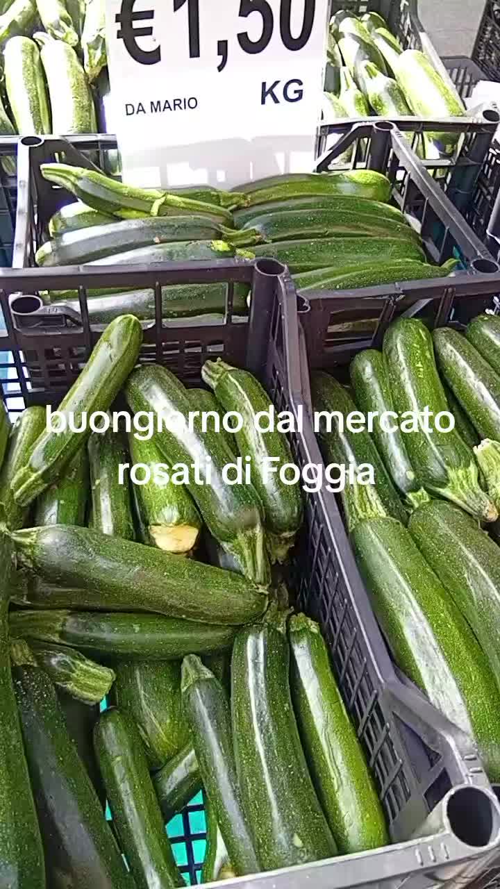 @mariodantonio7