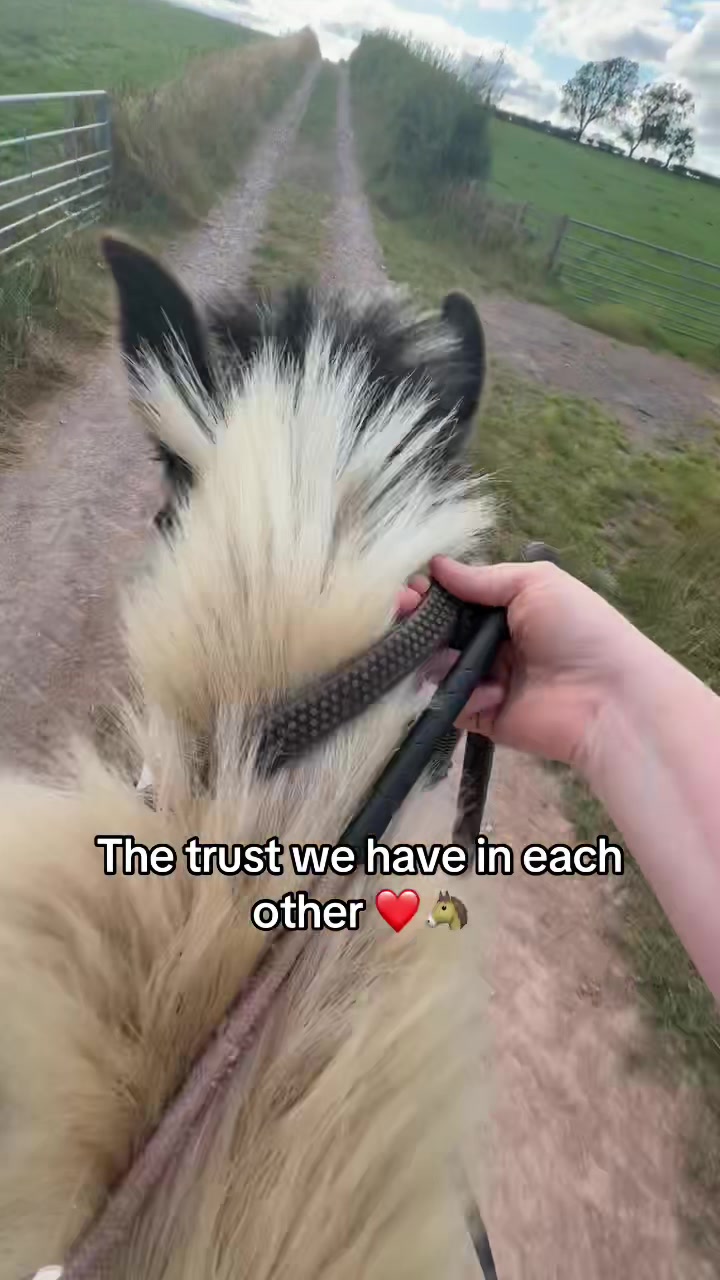 @Lilywiththecobs🐴