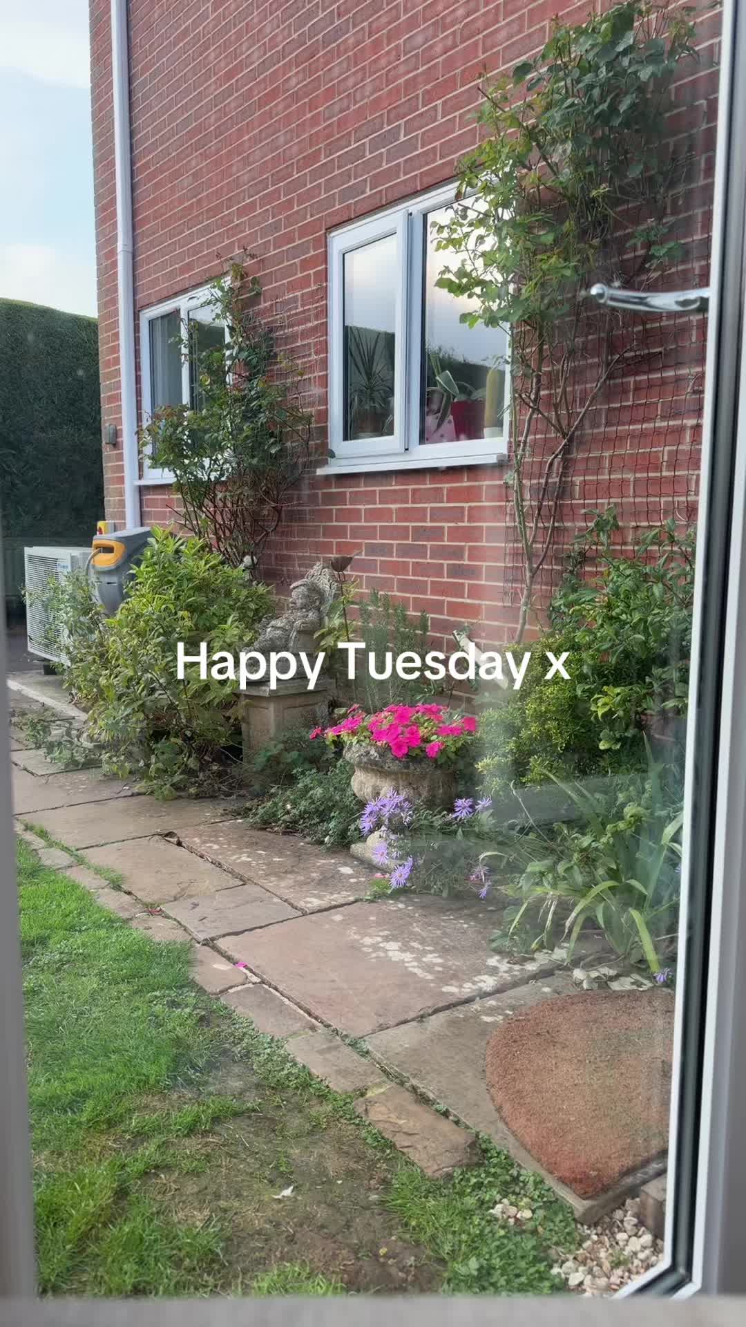 @Hettie&ensp;🤍 Boy Mum 💙 UGC