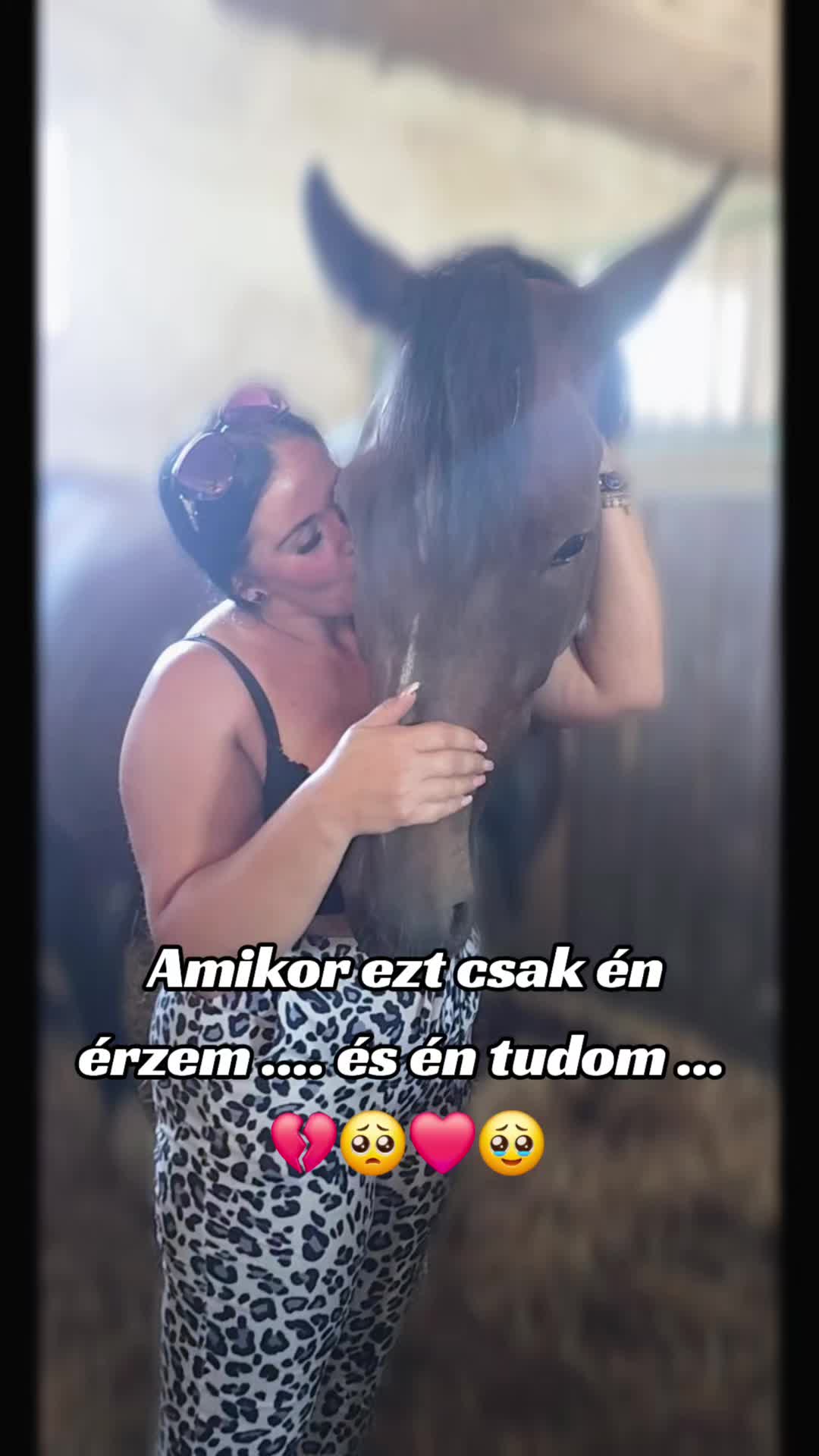 @꧁༒𝓔𝓻_𝓩𝓼𝓲𝓴𝓮༒꧂ 🪽🐶🐴888