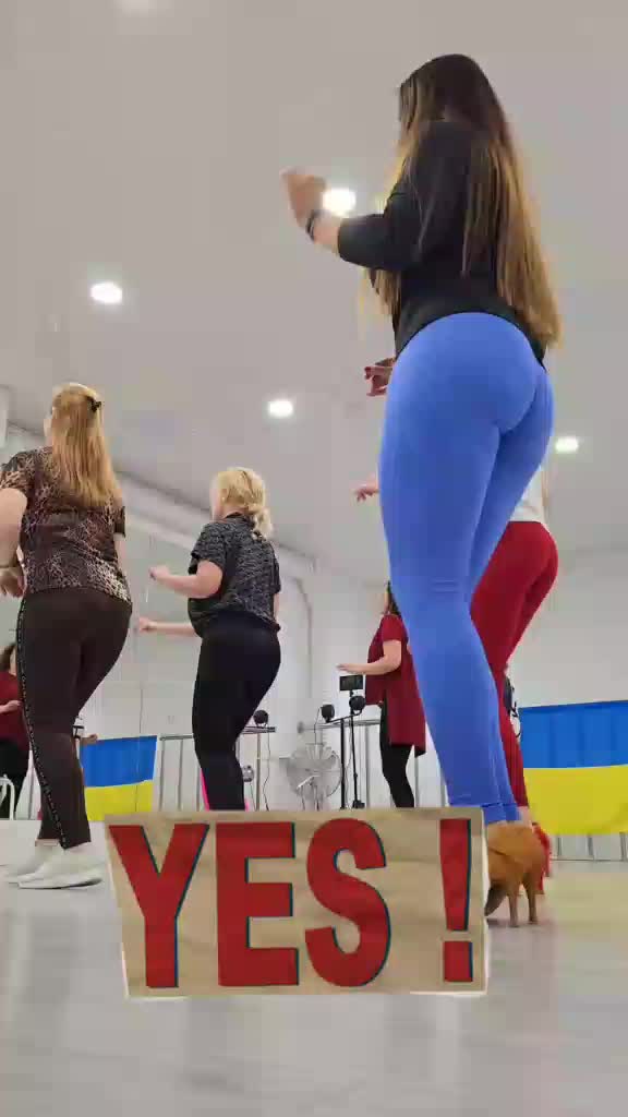 @Pussy Land