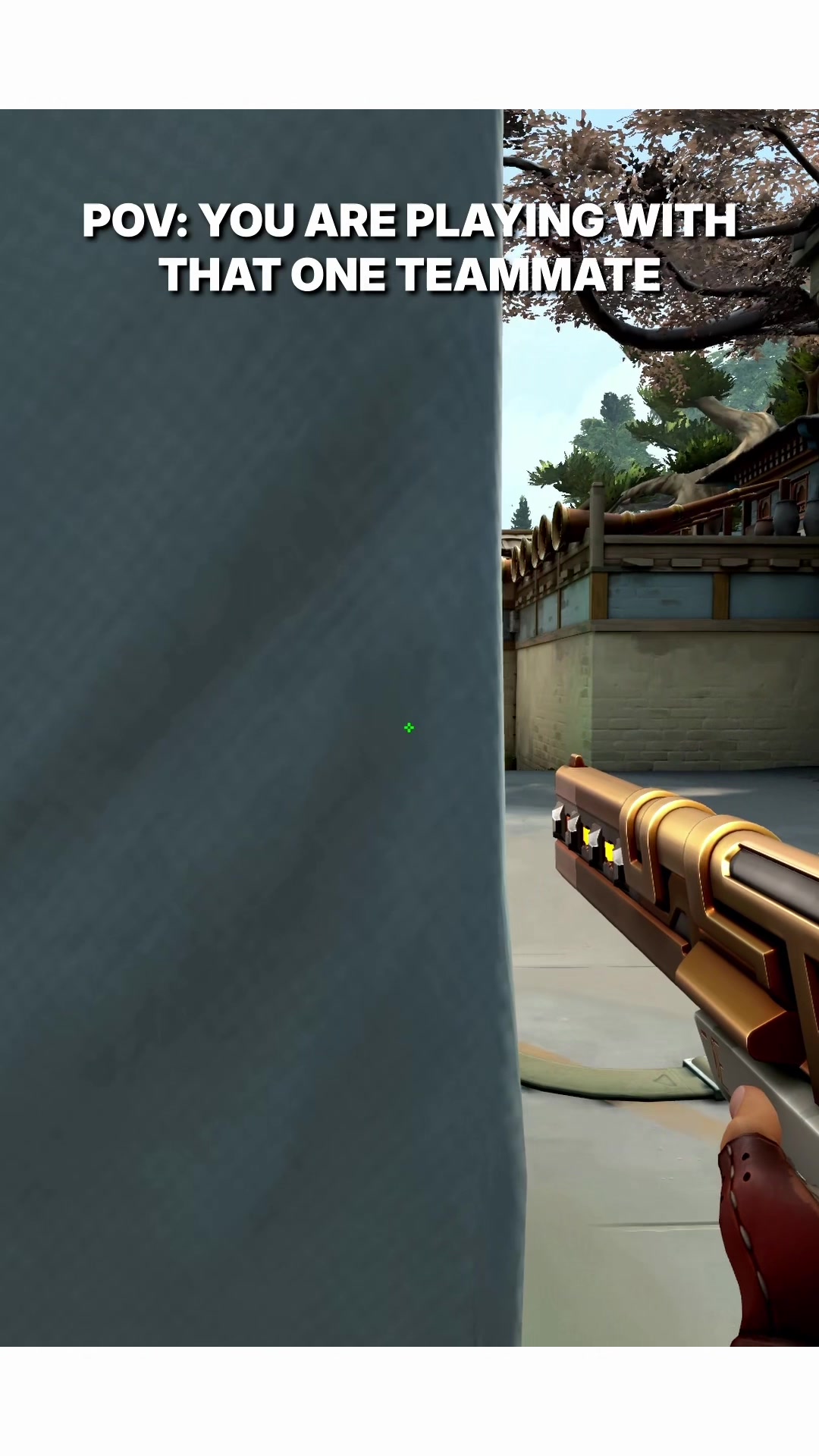 @FNATIC