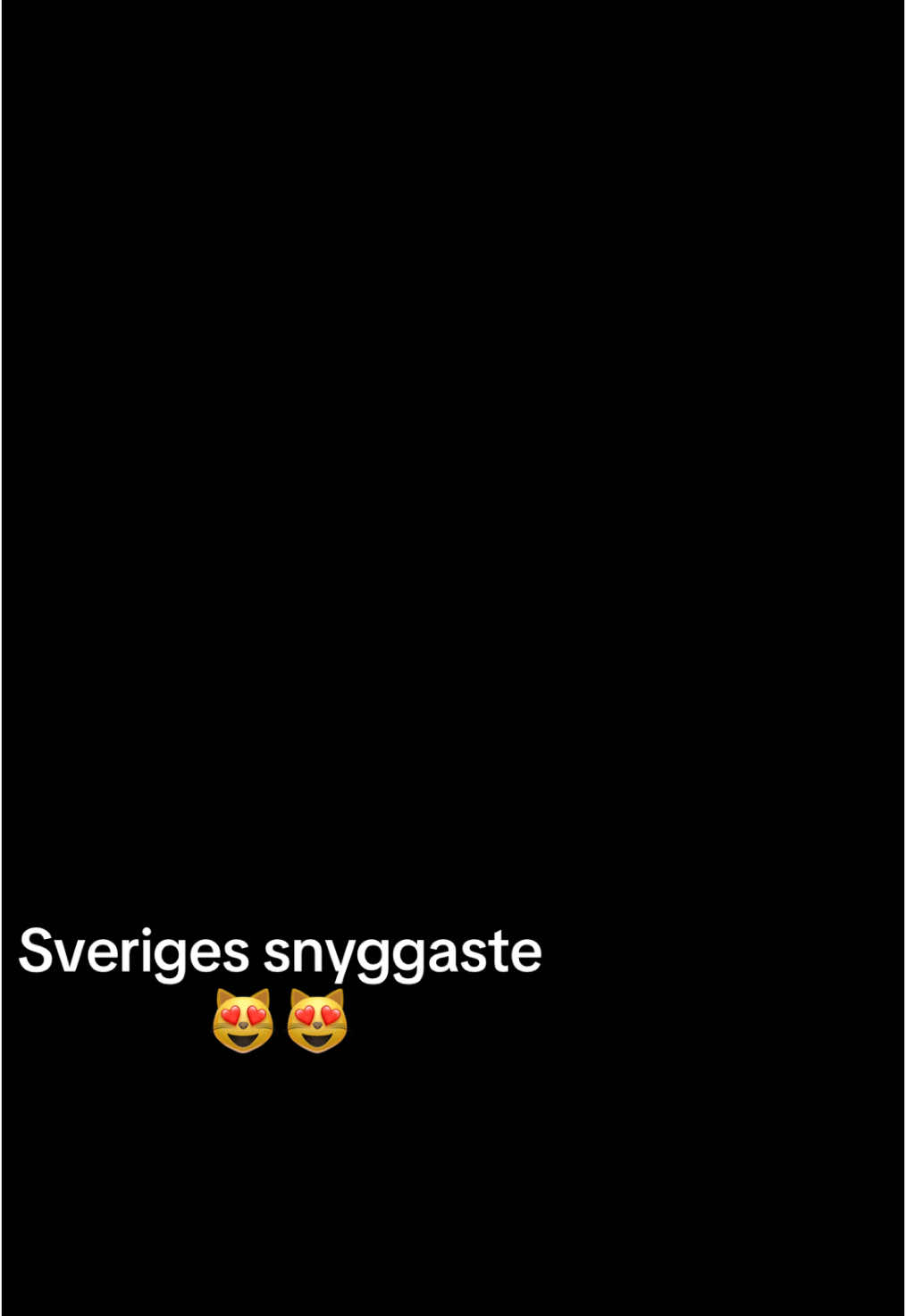 @Sveriges Snyggaste