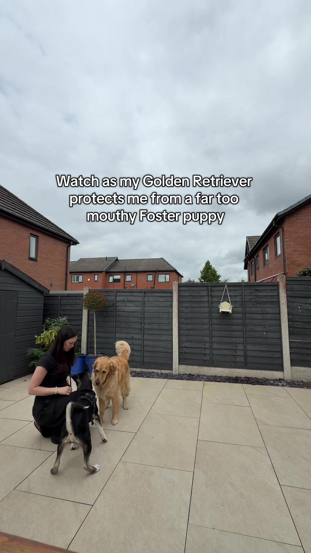 @Sheldon The Retriever