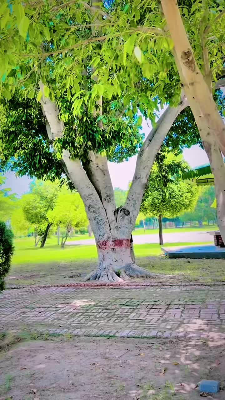 @farazmultani13