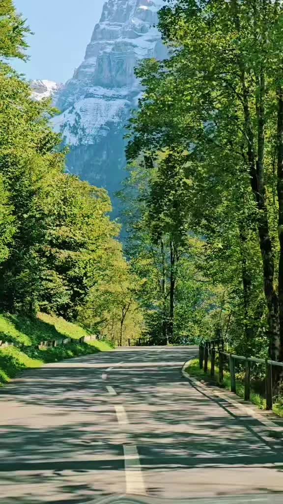 @Manuel Barbosa🇵🇹 🇨🇭