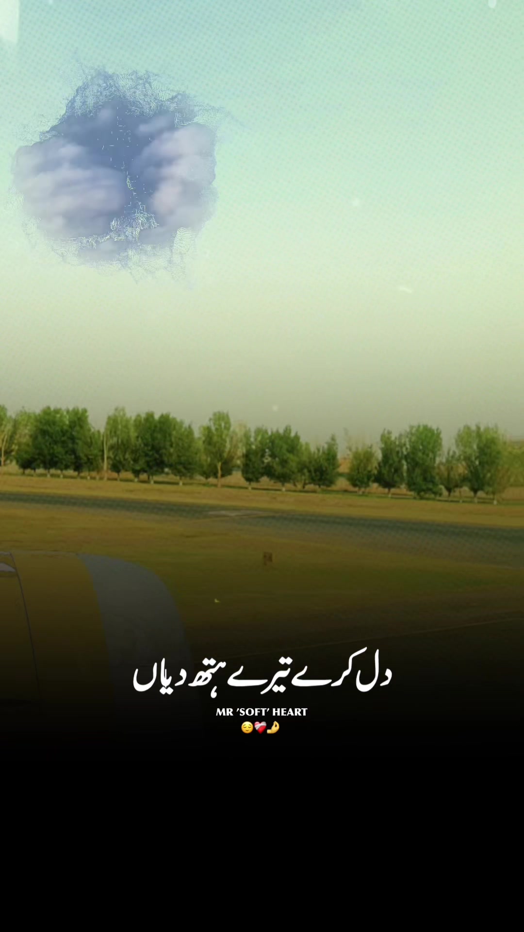 @Alikhan007