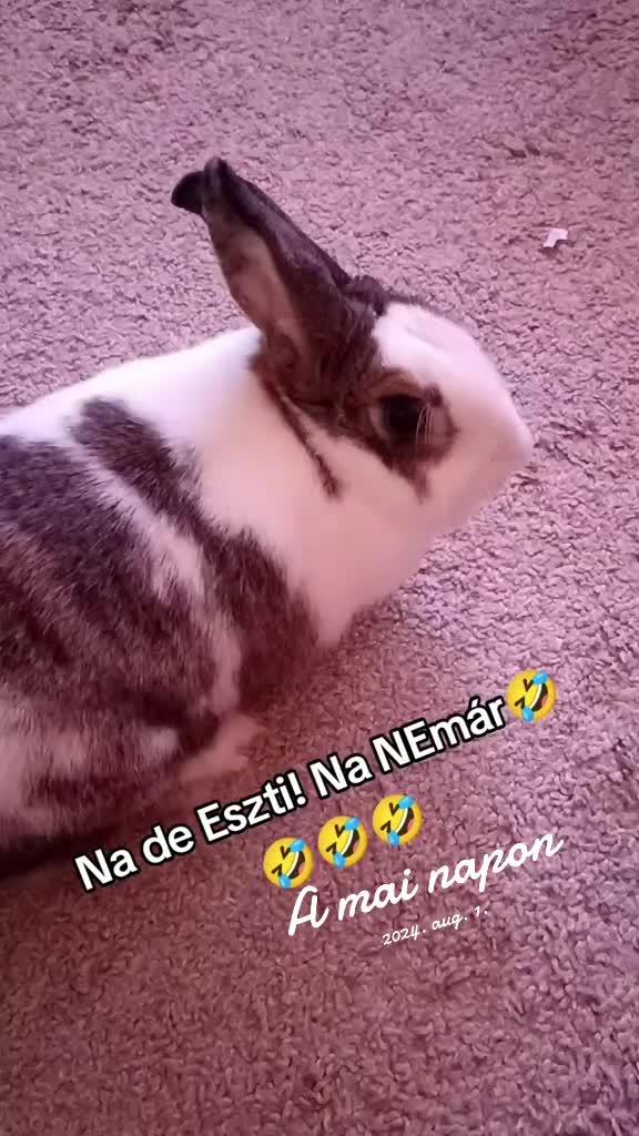 @🕊️🤍Renata Soos 🤍🕊️🎧
