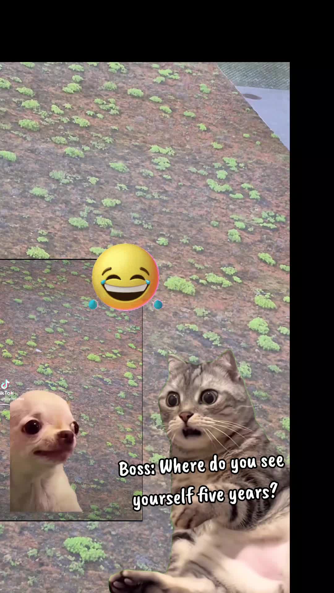 @🪺💛 Prettycutez 💛🪺