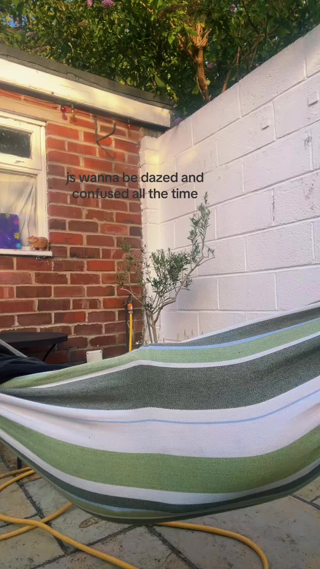 @amzypamzy