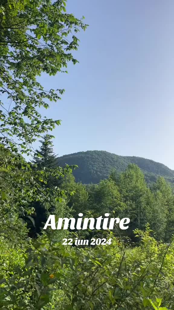 @Alin Dumitru