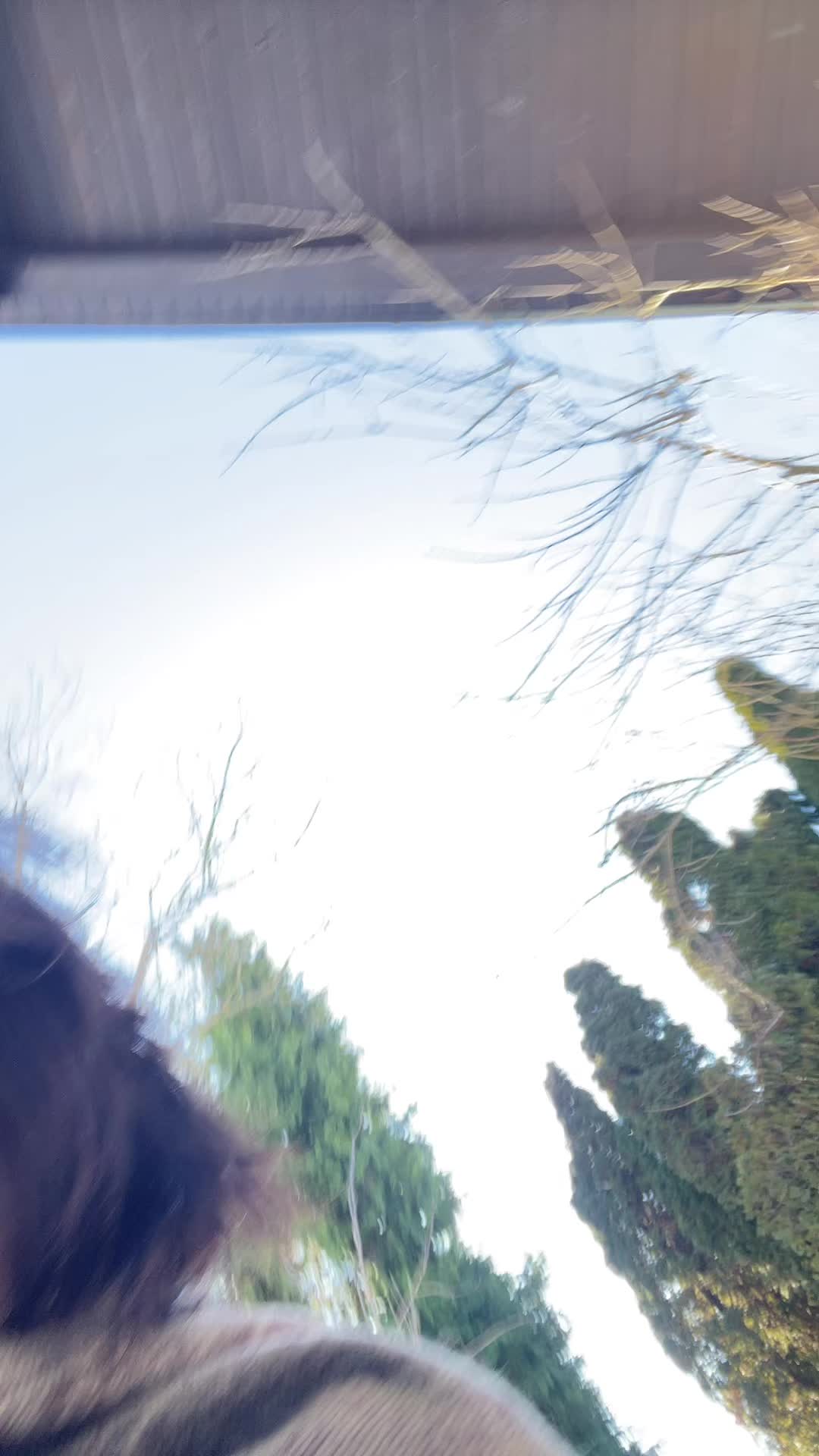 @vAr