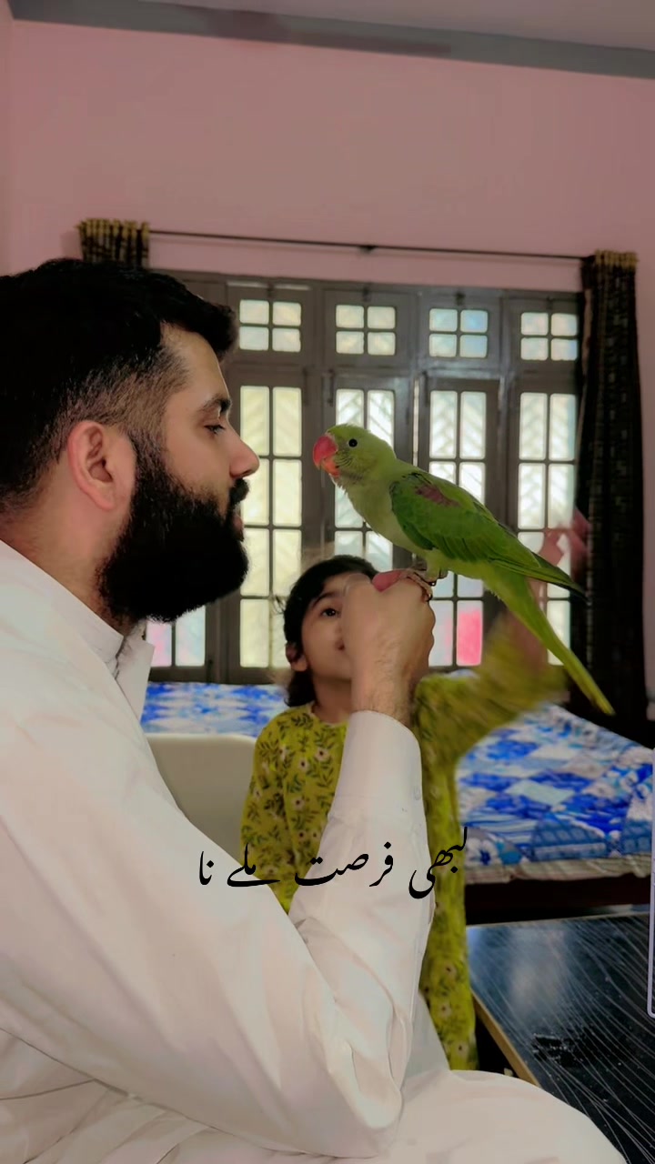 @Mr’s Awais