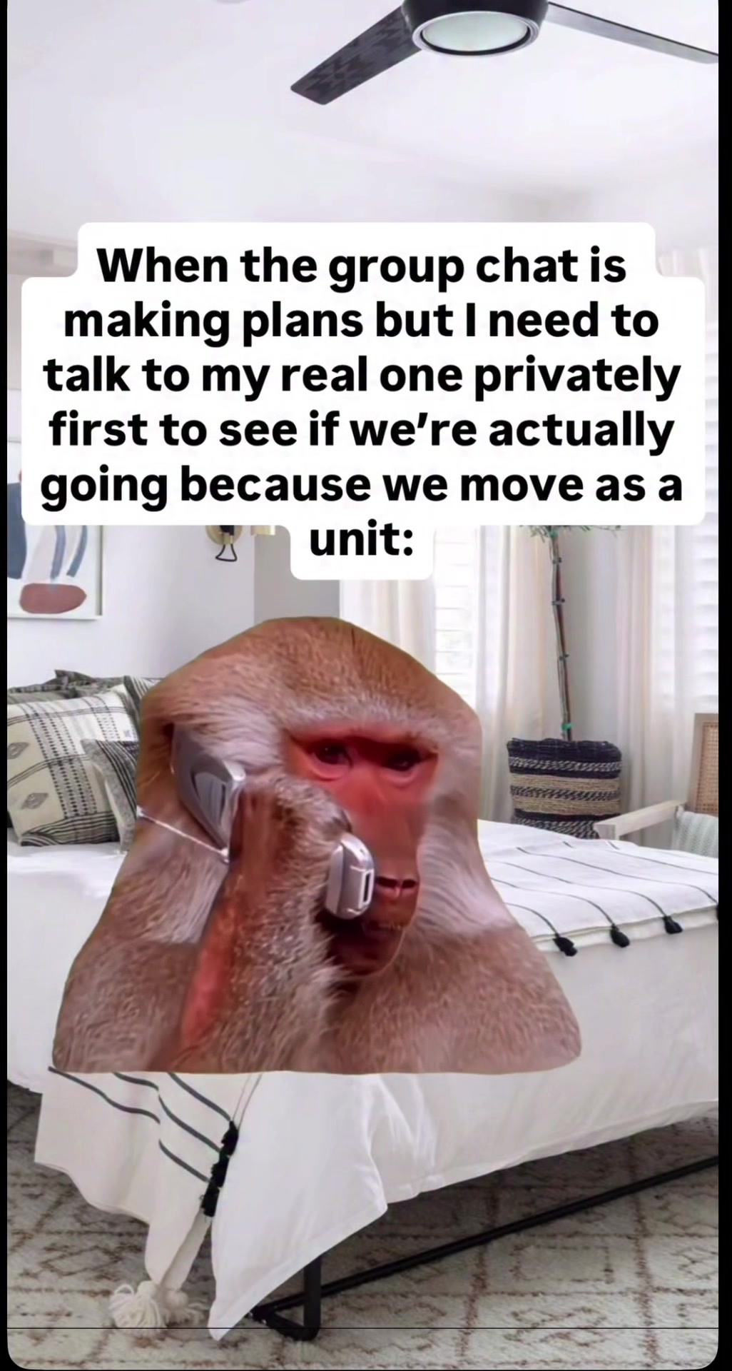 @loopdroopdaily